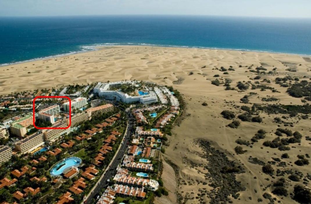 Apartment Palm Trees View Of The Dunes プラヤ・デル・イングレス エクステリア 写真